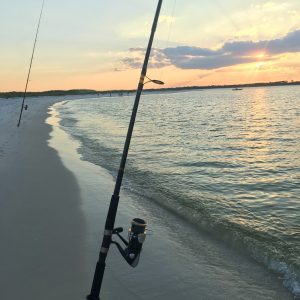 Top 9 Criteria to Evaluate When Choosing a Surf Rod