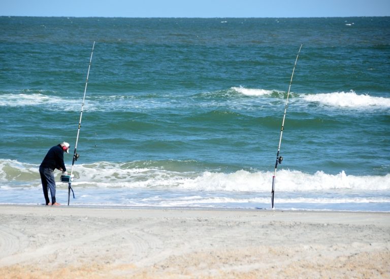 How To Catch Whiting (Southern, Northern & Gulf Kingfish) The Angler