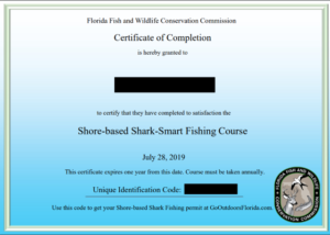 Surf Fishing For Sharks – Florida Permit Requirements