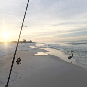 Beach Fishing On A Family Vacation