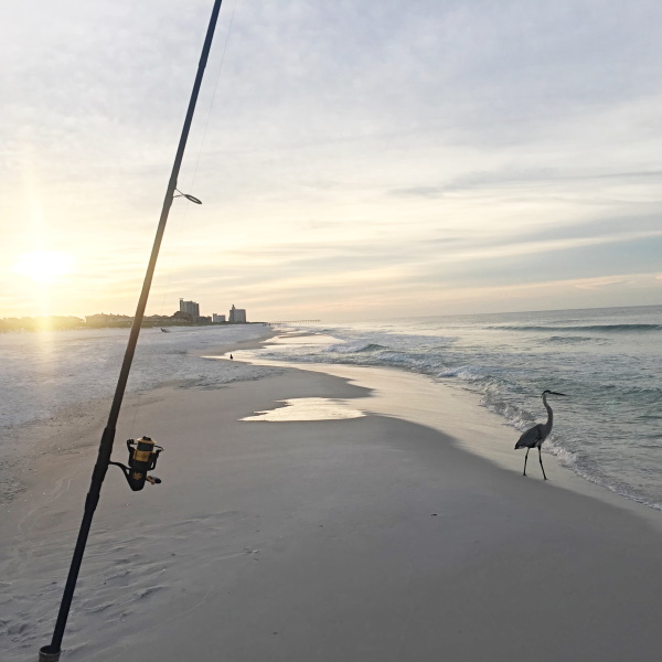 Beach Fishing On A Family Vacation - A Beginner Surf Fishing Gameplan