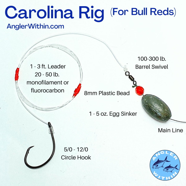 Carolina Rig For Bull Reds
