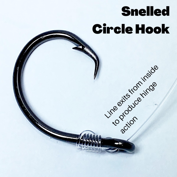 Snelled Circle Hook