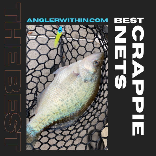 Best Crappie Net - Adjustable Nets With Rubber Mesh Are Ideal
