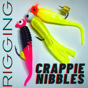 How To Use Crappie Nibbles