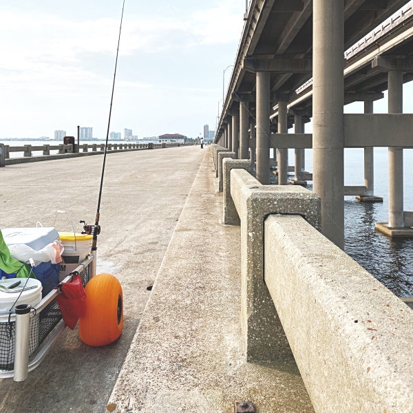 Pier Cart On Bob Sikes Bridge