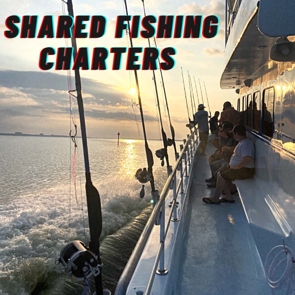 Pensacola charter boat fishing